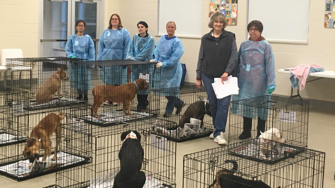 Michigan Humane Society making it easier for Hurricane Michael...